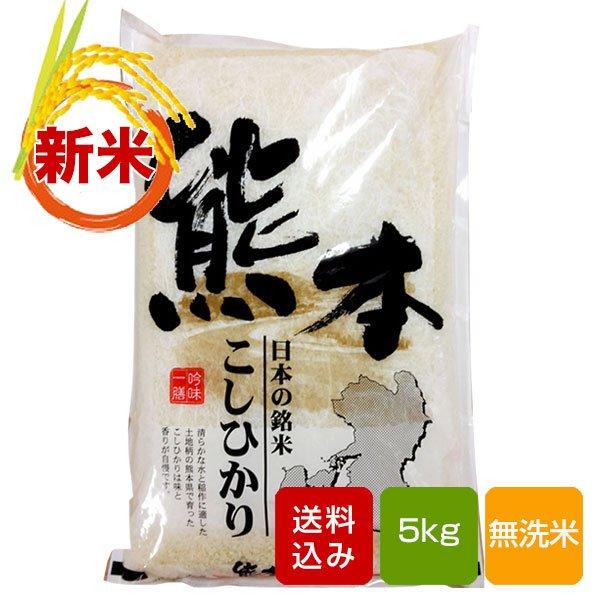 熊本コシヒカリ 無洗米5kg  一等米 令和5年産 コメ 米 こめ