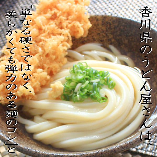 石丸製麺 半生讃岐うどん包丁切り つゆ付 260g×6個