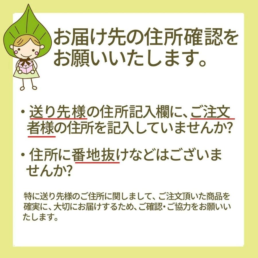 さくらんぼ 佐藤錦 Mサイズ 1kg 山形 秀品 2024 山形県産 サクランボ バラ詰め 化粧箱入 送料無料 (遠方送料加算) 産地直送 お中元 ギフト