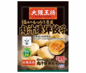 イートアンド 大阪王将 極みのもっちり厚皮 肉汁爆弾餃子 20個×6袋入｜ 送料無料