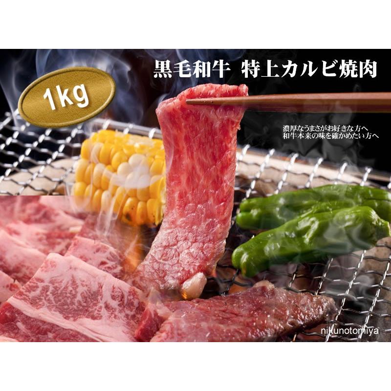 敬老の日 牛肉  カルビ 焼肉 1kg  焼肉セット 国産 セット 焼き肉 バーベキュー BBQ やきにく バーベキューセット ヤキニク A4 A5 肉の日 ギフト