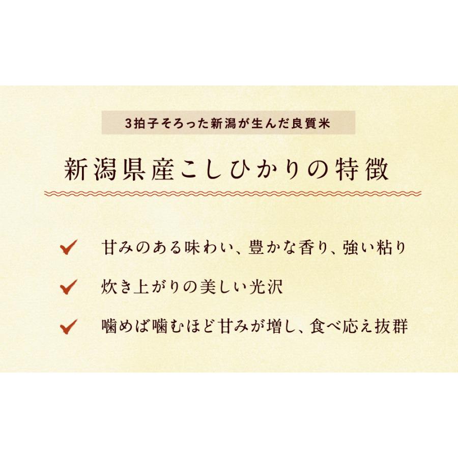 新米 新潟県産 コシヒカリ 10kg（5kg×2袋） 送料無料  令和5年度産 新潟県産 精米 米 お米 10kg（北海道・沖縄別途送料）（配達日・時間指定は不可）