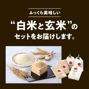 ふるさと納税 宮崎ヒノヒカリ 延岡産 白米と白い玄米セット 合計16.6kg　N0149-ZB807 宮崎県延岡市