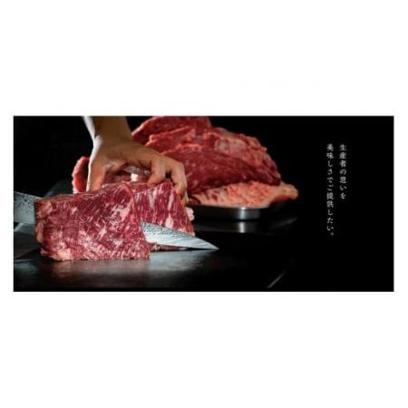 ふるさと納税 信州菅平高原原産希少短黒和牛上焼肉セット4人800g（カルビ・ロース） 長野県上田市