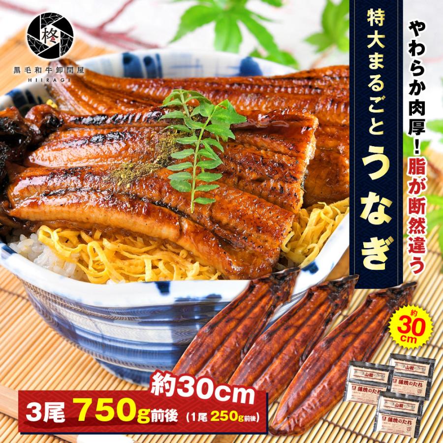 国産・特大サイズ無頭うなぎ蒲焼き (220g・約30cm)