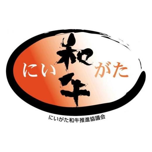 ふるさと納税 新潟県 南魚沼市 ビーフシチュー　２００ｇｘ３食