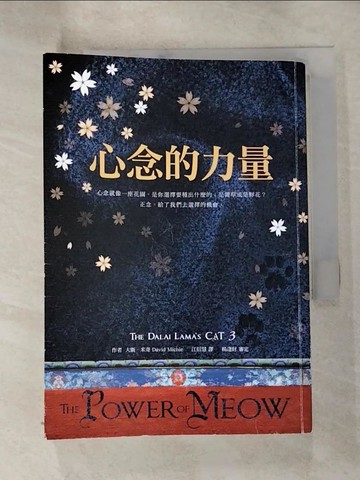 【書寶二手書T9／翻譯小說_HG1】心念的力量_大衛．米奇（David Michie）