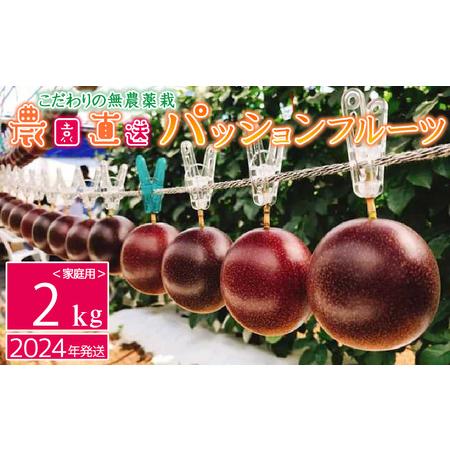 ふるさと納税 こだわりの無農薬栽培パッションフルーツ2kg＜ご家庭用＞ 沖縄県糸満市