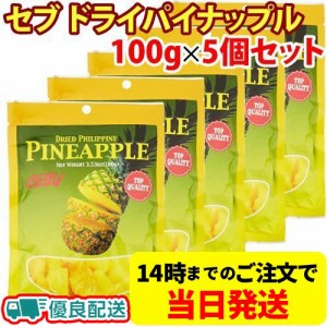 セブ ドライパイナップル 100g×5個セット 輸入菓子 ドライフルーツ パイナップル