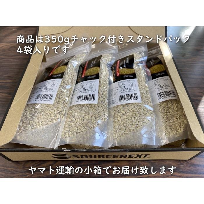 国産スーパーもち麦 350g 4袋入り お試しパック