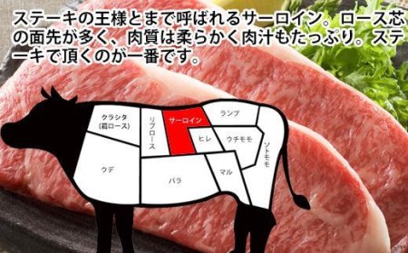 土佐和牛A5特選サーロインステーキ400g×2枚セット　牛肉　和牛ステーキ肉