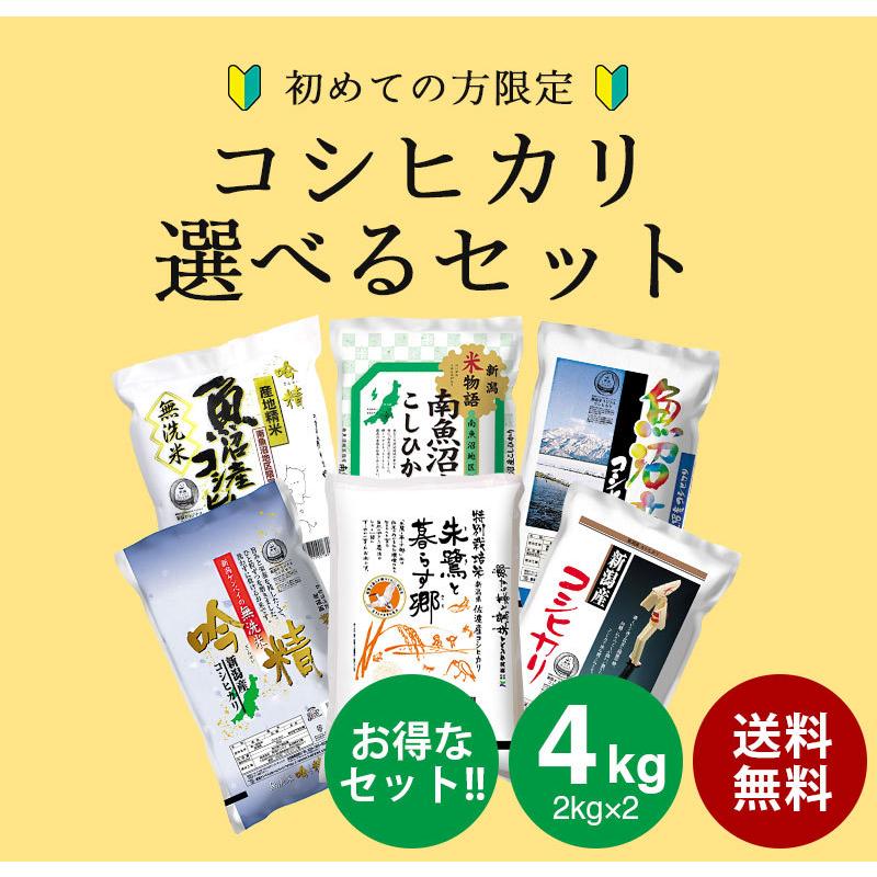 お米 4kg 送料無料 食べ比べ お試し いなほんぽのコシヒカリ選べるセット 4kg(2kg×2) プレゼント付 無洗米 精白米 新潟産 魚沼産 令和5年産 新米