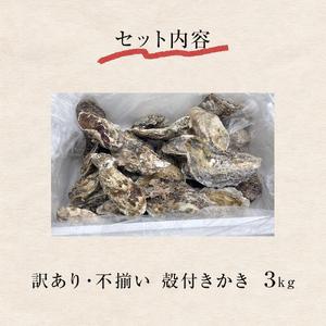 ふるさと納税 ＜訳あり・不揃い＞冷凍殻付き牡蠣 3kg 宮城県 石巻市 三陸産 カキ かき 加熱用 宮城県石巻市