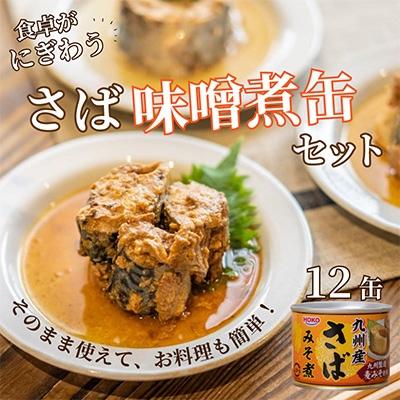 ふるさと納税 松浦市 さば味噌煮缶セット(12缶)