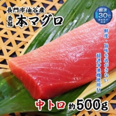 油谷産養殖本マグロ　中トロ柵　500g(1274)