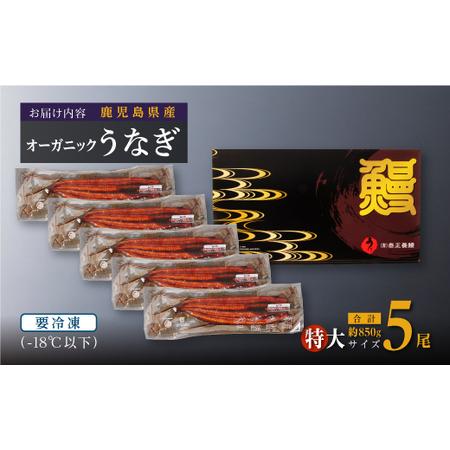 ふるさと納税 泰正オーガニックうなぎ蒲焼　特大5尾 鹿児島県大崎町