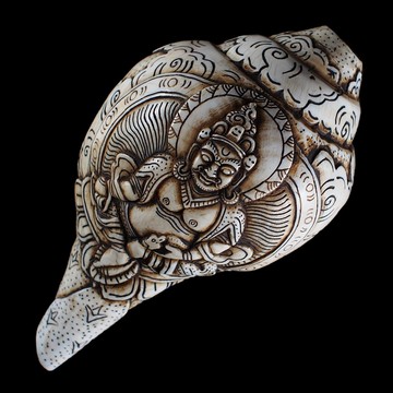 《博古珍藏》黃財神(財寶天王)右旋法螺．藏傳密宗法器文物．697公克．早期收藏．老件．信徒結緣．底價回饋