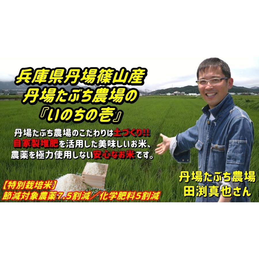 いのちの壱 ５Kg（精米できます） 兵庫県丹波篠山産 丹波たぶち農場（令和４年産）