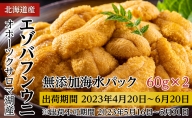 サロマ湖産 無添加 バフンウニ 120g（60g×2）海水パック［2024年4月下旬出荷開始先行予約］ 北海道 オホーツク 佐呂間町 ウニ うに 海鮮