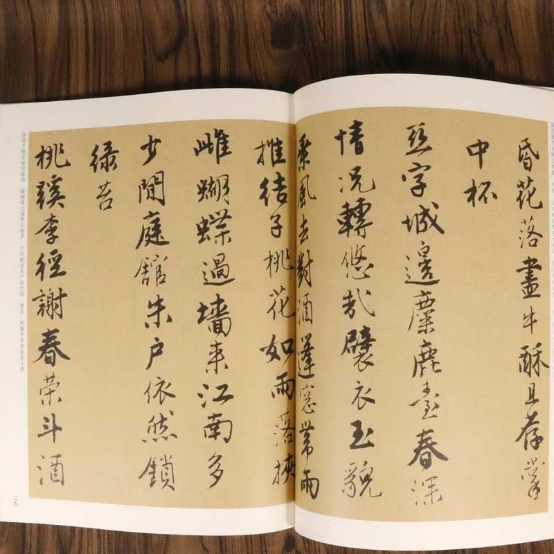 唐寅書帖　中華歴代伝世碑帖集萃　中国語書道　 中#21326;#21382;代#20256;世碑帖集萃 唐寅#20070;帖