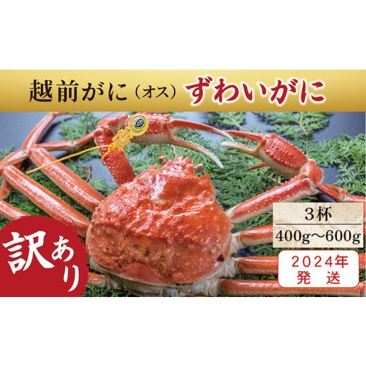 ふるさと納税 福井県 越前市 越前がに（オス）「ずわいがに」（400g〜600g）訳あり 3杯