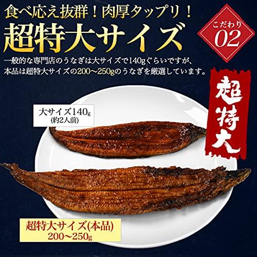 鰻 白焼き 国産 選べる 朝じめ うなぎ 白焼 ギフト 超特大 200〜250g × 2尾 未冷凍 お取り寄せグルメ 冷蔵お届け お中元 父の日 熨斗