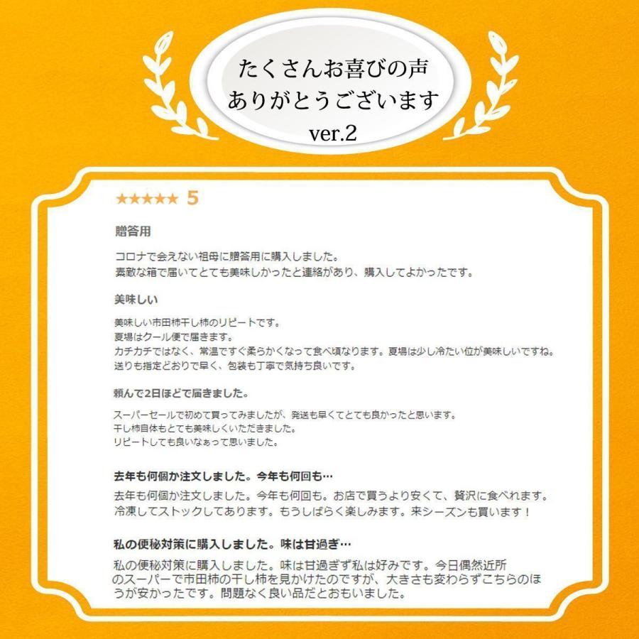 干し柿 市田柿 ドライフルーツ 送料無料 500g 自宅用 家庭用 干柿 ほし柿 5袋セット