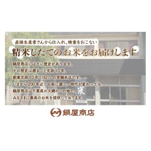 ふるさと納税 千葉県 大網白里市 ＜3ヶ月定期便＞2年連続特A評価！千葉県産コシヒカリ5kg×3ヶ月連続 計15kg ふるさと納税 米 お米 定期便 5kg 3か月 15kg 千…