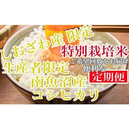 ふるさと納税 特別栽培 しおざわ産限定 生産者限定 南魚沼産コシヒカリ