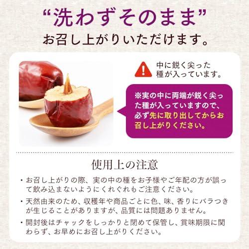 NaTruly（ナトゥリー） 大なつめドライ（種あり） 100g ナツメ 無添加 無農薬