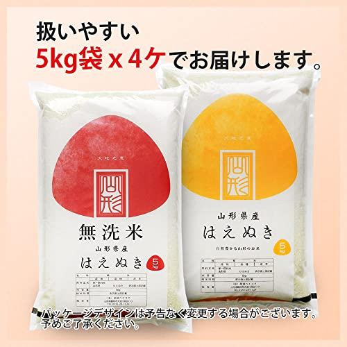  はえぬき 20kg (5kgx4袋) 山形県産 令和5年産 米