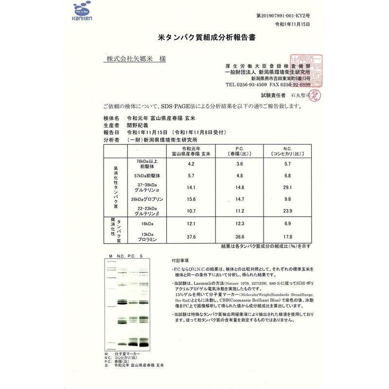 白米富山県産「低たんぱく米」「低グルテリン米」春陽（令和4年産）5kg