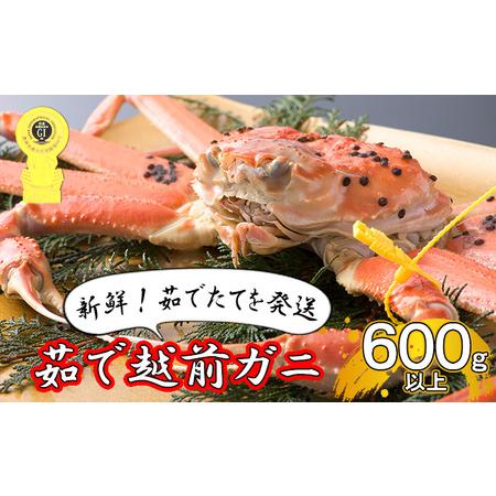 ふるさと納税 茹で越前ガニ食通もうなる本場の味をぜひ、ご堪能ください。約600g以上×1杯 越前がに 越前かに 越前カニ ずわい.. 福井県若狭町