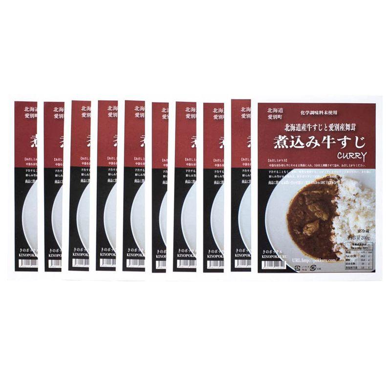 煮込み牛すじカリー 10個セット 200g×10 カレー 惣菜 ビーフカレー 北海道産