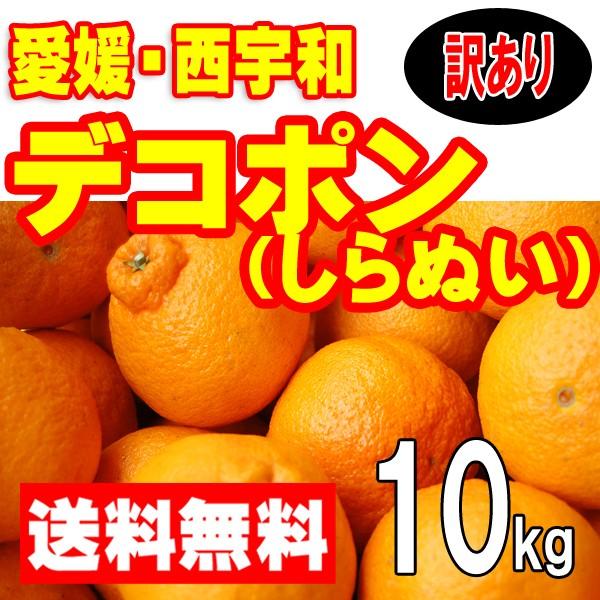 愛媛西宇和産　デコポン（しらぬひ）　訳あり家庭用　送料無料　１０ｋｇ