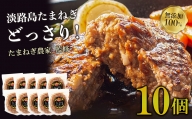 淡路島たまねぎプレミアムハンバーグ　150ｇ×10個