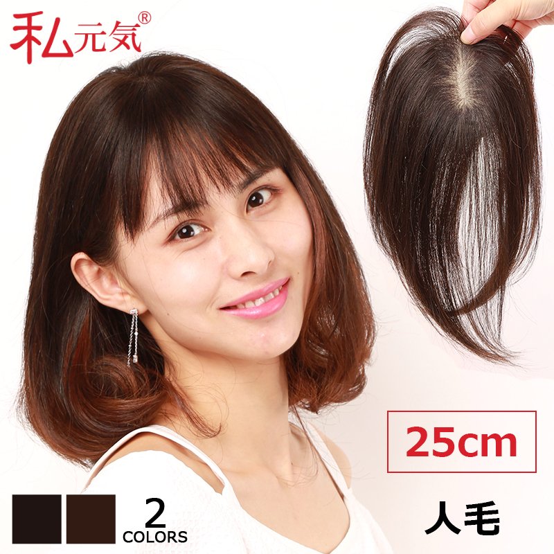 人毛100％ ヘアピース 総手植え 分け目自由 超軽量 蒸れにくい 装着