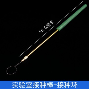 接種棒接種環初中高中生物實驗室微生物細胞細菌培養用具無菌接種教學儀器器材
