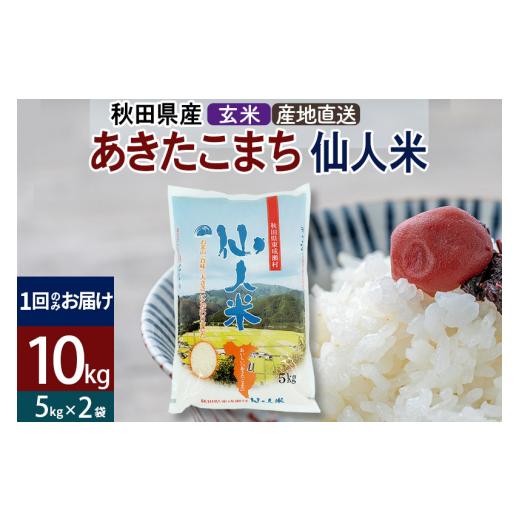 ふるさと納税 秋田県 東成瀬村 新米 令和5年産 あきたこまち 秋田県産「仙人米」玄米 10kg（5kg×2袋）