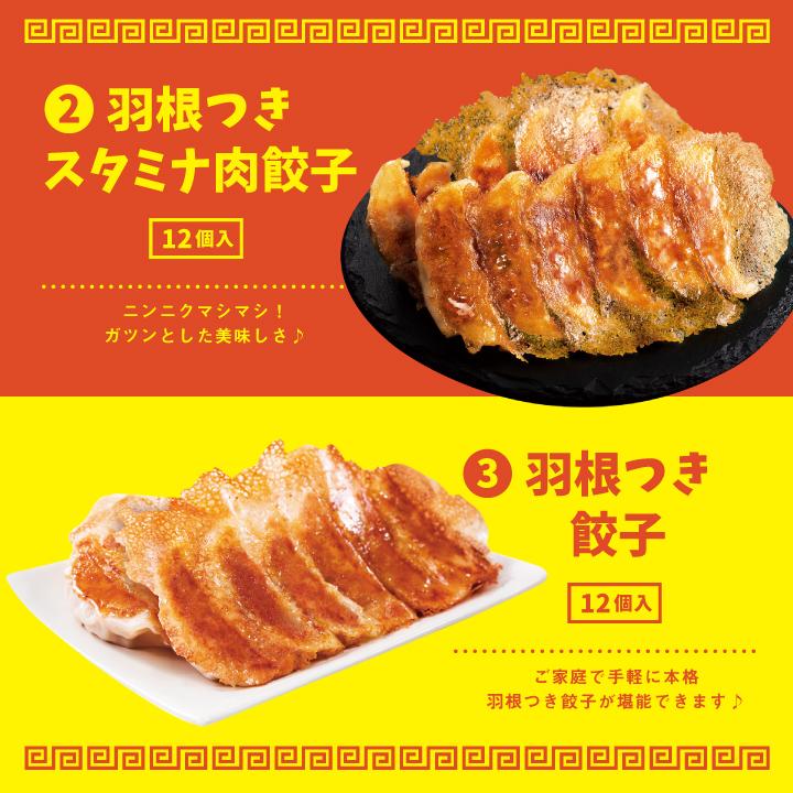 餃子 大阪王将 餃子 取り寄せ 冷凍餃子 お取り寄せグルメ おうちで餃子パーティーセット 中華 冷凍食品 王将 点心セット 食品 点心 国産品 (国内製造)