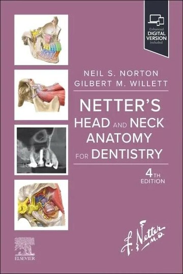 Netter's Head and Neck Anatomy for Dentistry 4/e Norton 2025 Elsevier