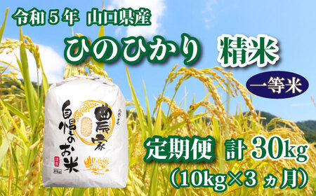 令和5年 山口県産 ひのひかり 精米 10kg×3回 GA015