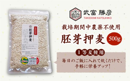 胚芽押麦 500g＜1等麦使用＞江北町産 サチホゴールデン特別栽培農産物 麦[HAJ002]