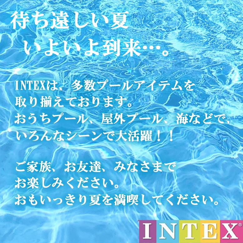 intex インテックス グロッシーパネルボール 51cm