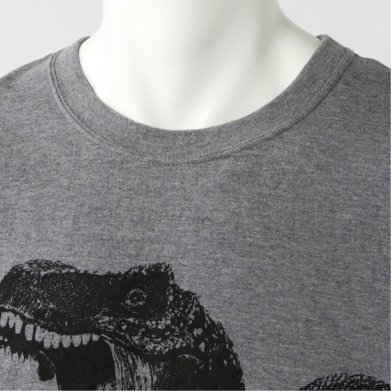 Tシャツ レディース メンズ 半袖 Unisex クルーネック プリントtシャツ 恐竜 ダイナソー Dinosaur かっこいい リアル Dt9565 No Other 通販 クールな恐竜ファッション女性 Blackv ネック T シャツ Wellcoda Highsecuresystem Com