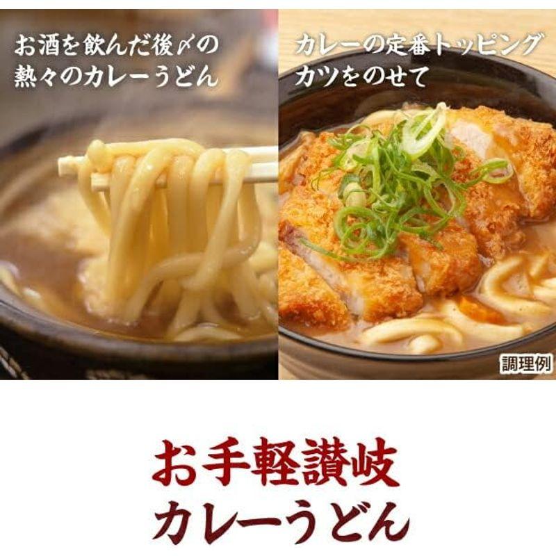 うどん さぬきうどん 讃岐のカレーうどん 10食 讃岐うどん ご当地 セット 産直 どんまい