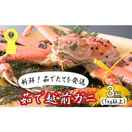 ふるさと納税 茹で越前ガニ食通もうなる本場の味をぜひ、ご堪能ください。1kg以上×3杯　越前がに 越前かに 越前カニ ずわいが.. 福井県若狭町