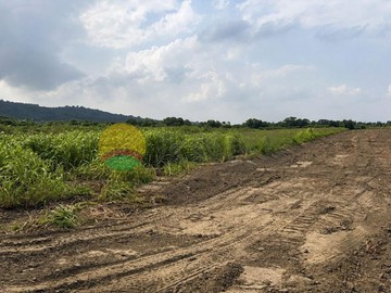 岡山 | 華崗段｜嘉華產業園區 | 潛力農地釋出｜高雄市岡山區華崗段