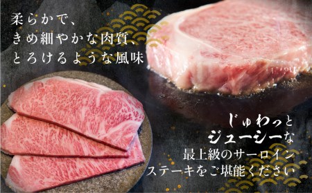 飛騨牛 A5 サーロインステーキ 200g 5枚 ステーキ 黒毛和牛 肉 騨高山 丸明 サーロイン ブランド牛 和牛 TR3738 