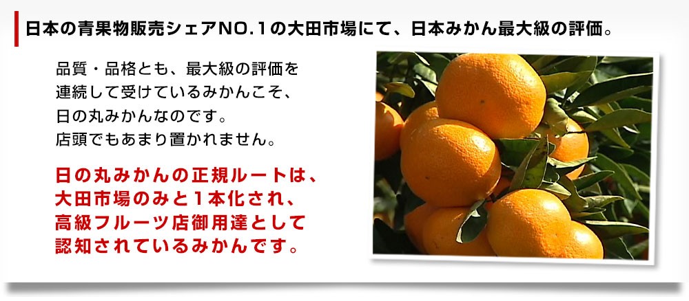 愛媛県より産地直送　JAにしうわ　日の丸プレミアムみかん　ゴールド千両（豪琉頭千両）　ＭからＳサイズ　3キロ（30から36玉） 送料無料　蜜柑　ミカン